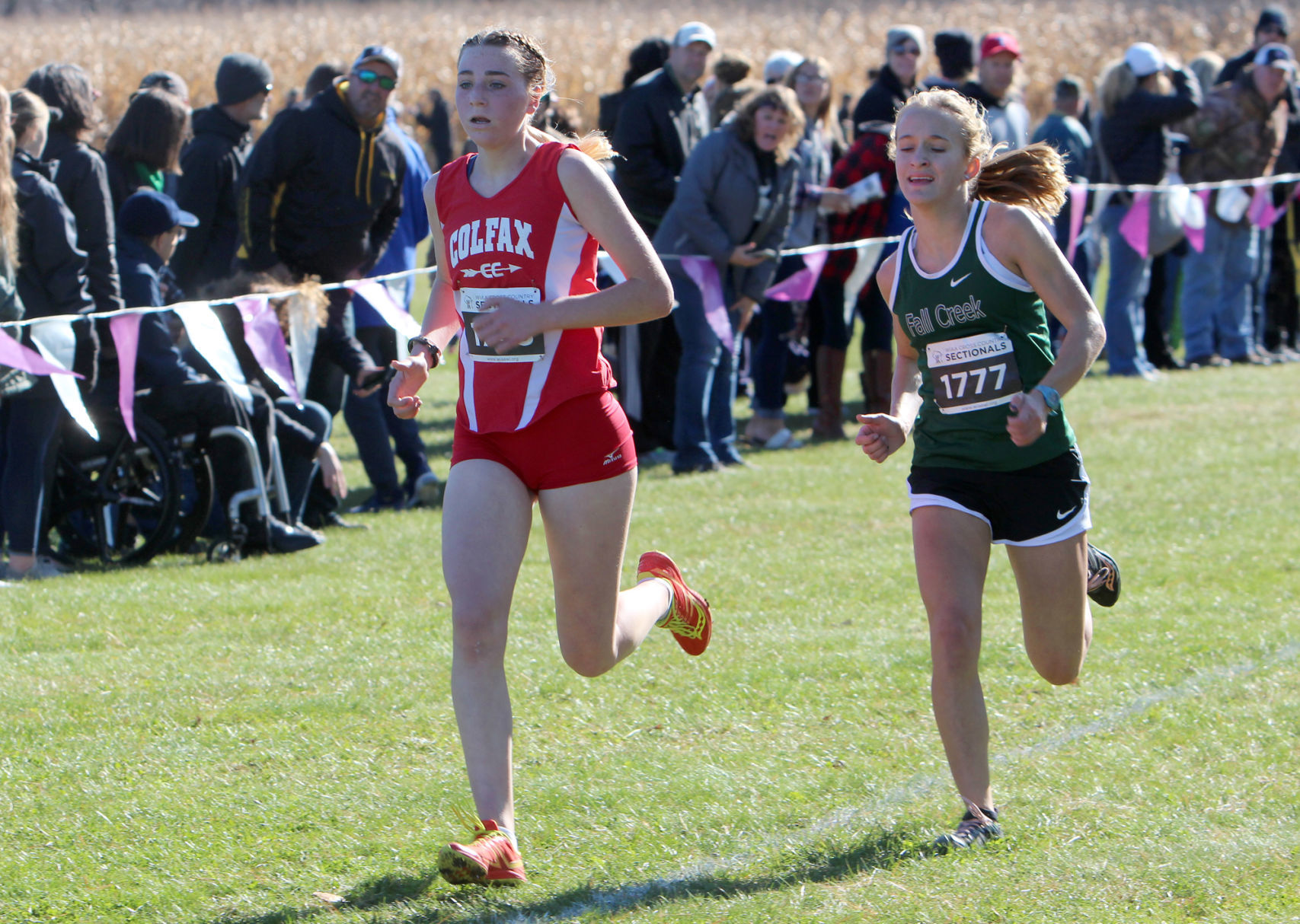 Division 3 Cross Country Sectionals in Boyceville 10-26-19